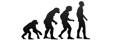evolution2